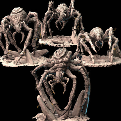 Phase Spider Bundle