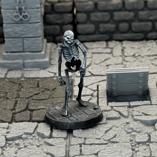 Skeleton Walker B