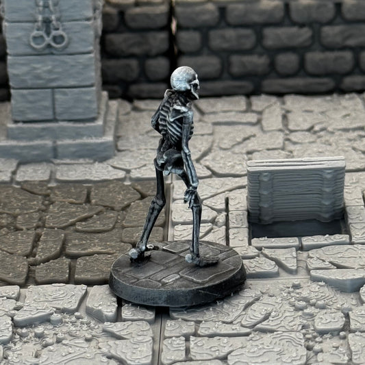 Skeleton Walker B