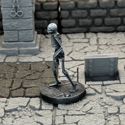 Skeleton Walker B