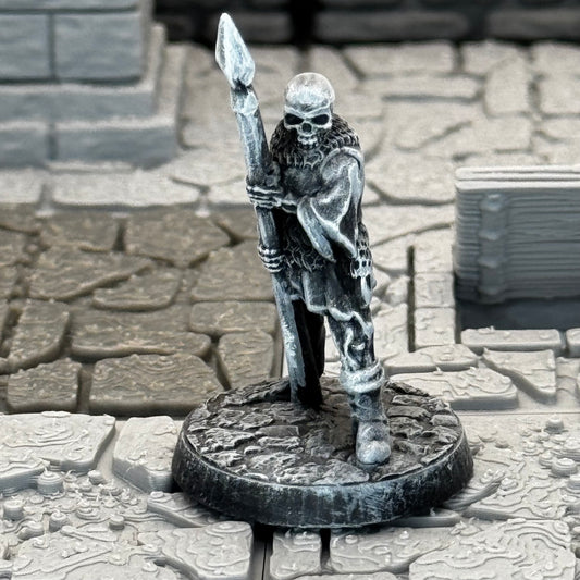 Skeleton Spear and Armor