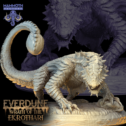 Everdune Collection
