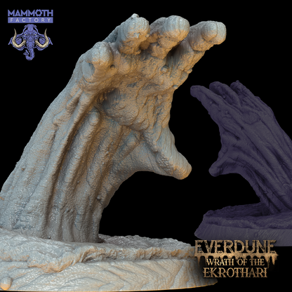 Everdune Collection