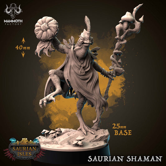 Saurian (Lizardfolk) Shaman