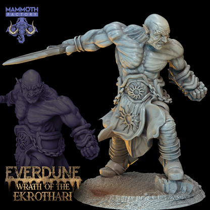 Everdune Collection