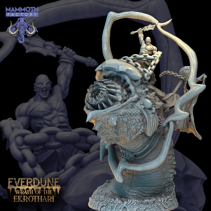 Everdune Collection