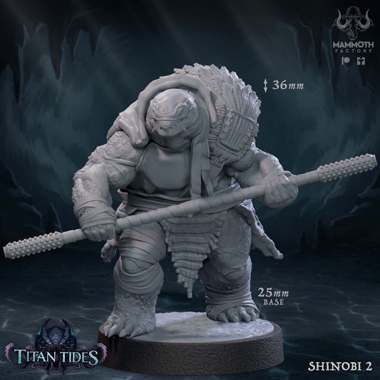 Shell Shinobi (Tortles) by Mammoth Factory