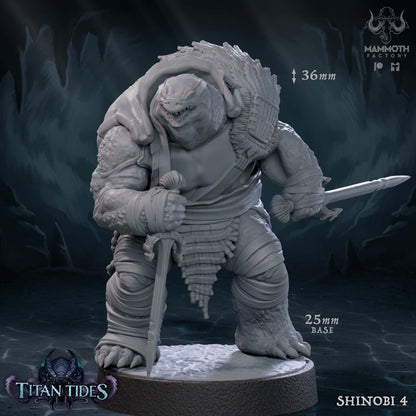 Shell Shinobi (Tortles) by Mammoth Factory