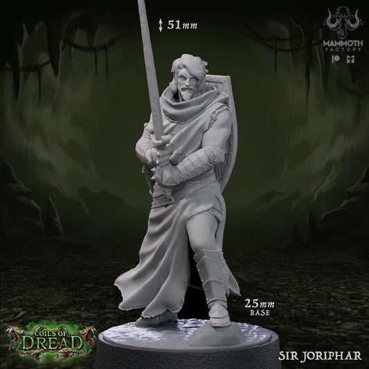 Sir Joriphar - Male Paladin Fighter Cleric