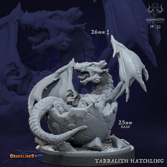 Tarralith Hatchling - Young Dragon