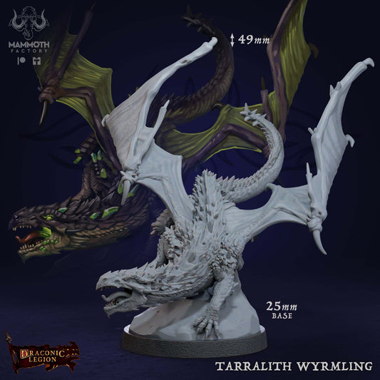 Tarralith Wyrmling - Young Dragon