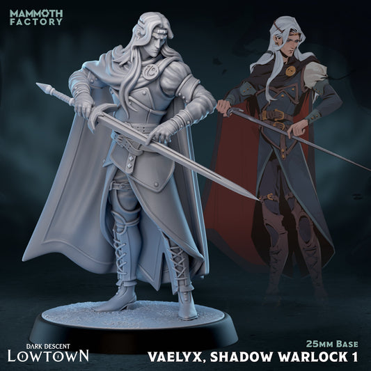 Vaelyx - Shadow Warlock