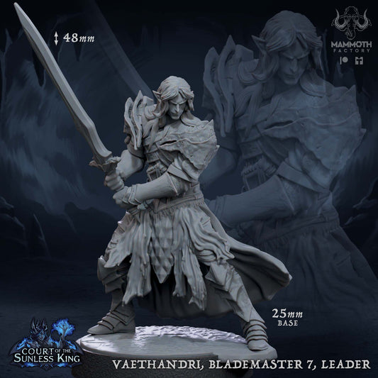Dralfar Blademaster - Great Weapon Master Paladin Knight Warband