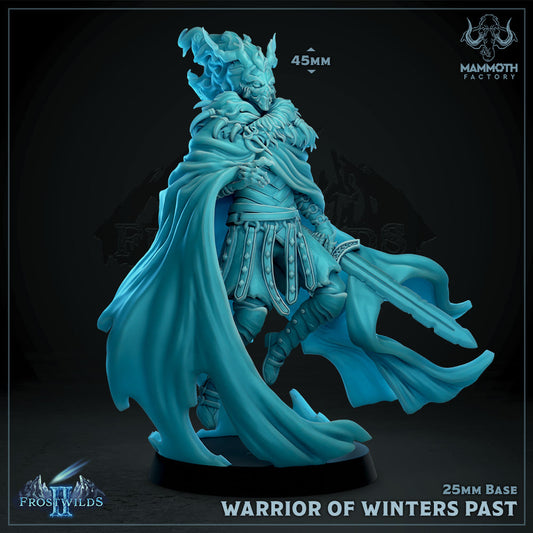 Warrior of Winters Past - Tribal Death Knight
