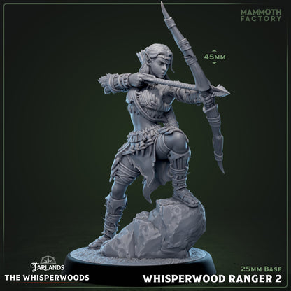 Whisperwood Rangers - Wood Elf