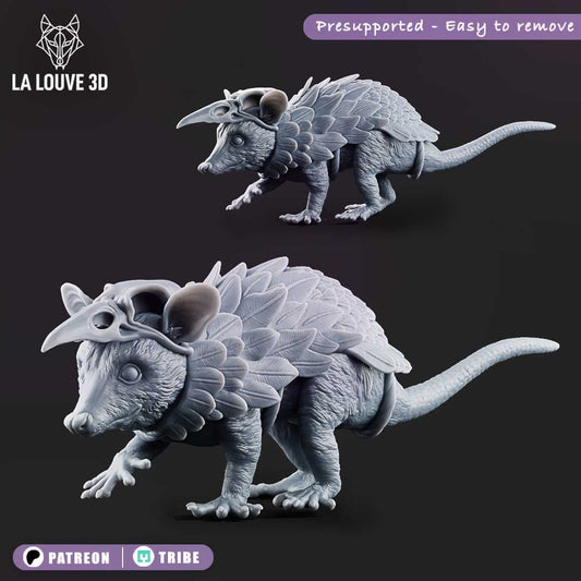 Shaman opossum