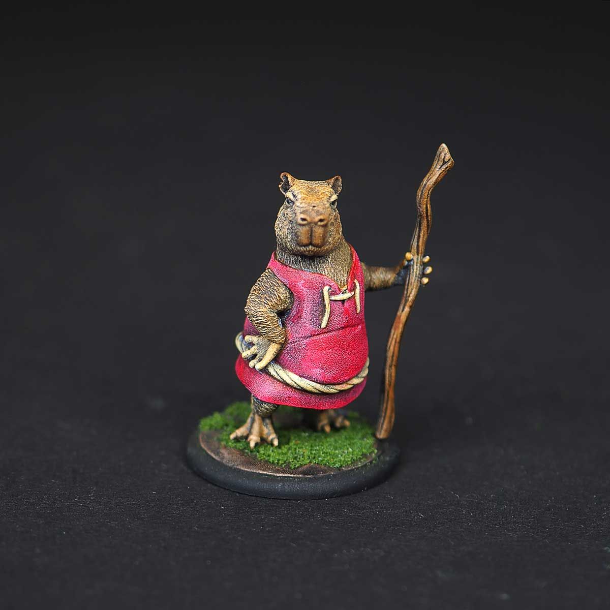 Monk capybara