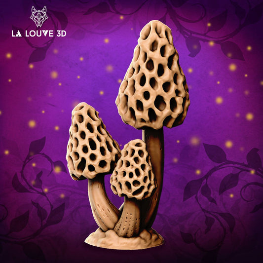 Morel