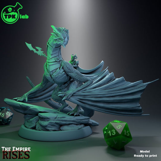 Dragon Crusader on Wyvern