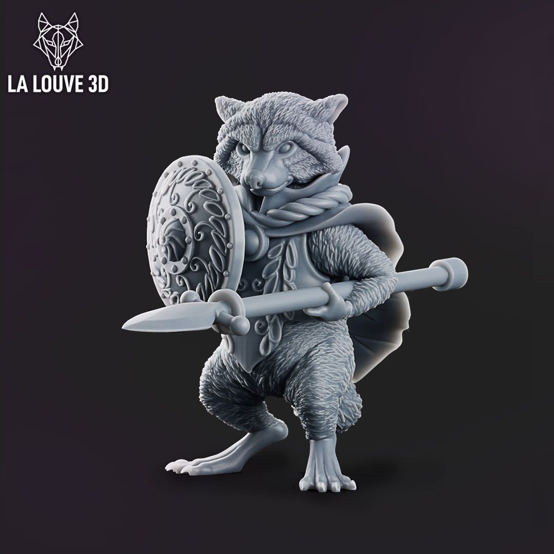 Paladin raccon 2