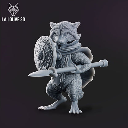 Paladin raccon 2