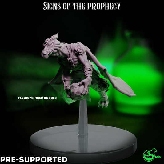 Winged Kobold