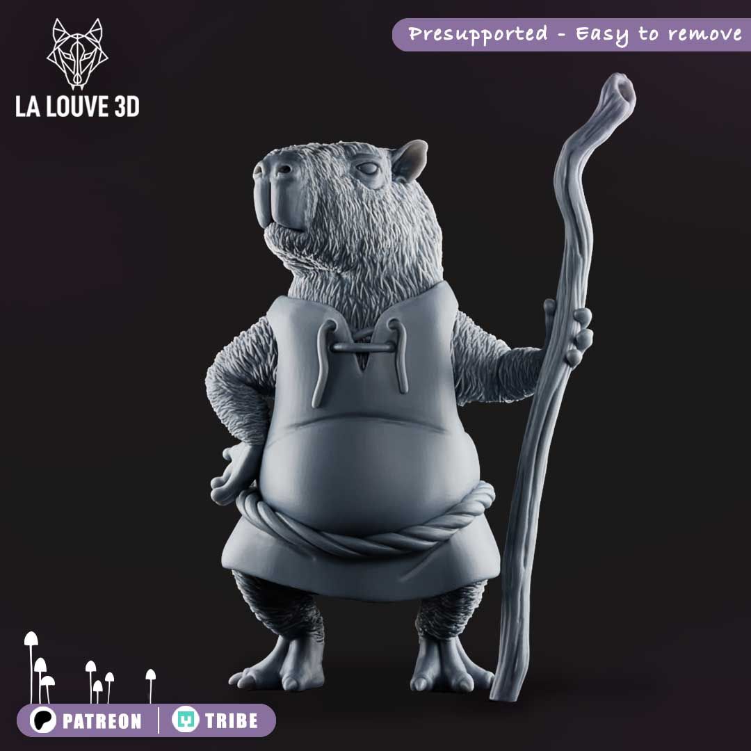 Monk capybara