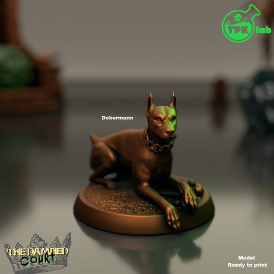 Dobermann