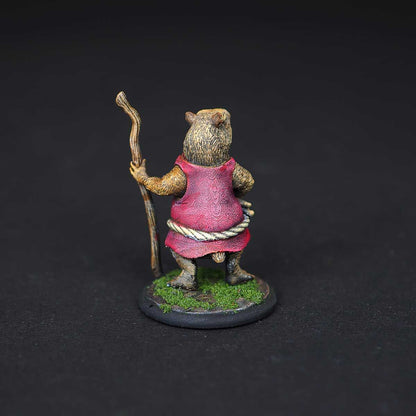 Monk capybara