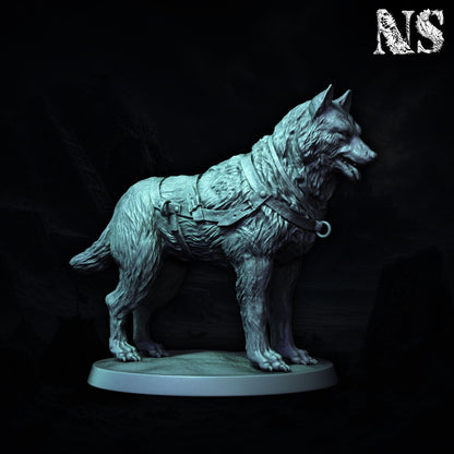 At the Mountains of Madness part 1 - Miniatures and Terrain Collection