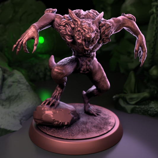 Newly Turned Werewolf (2)
