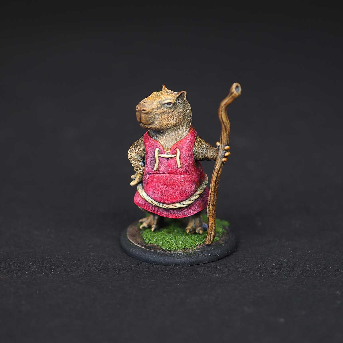 Monk capybara