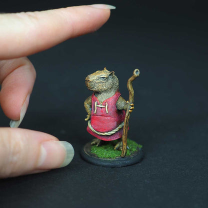 Monk capybara