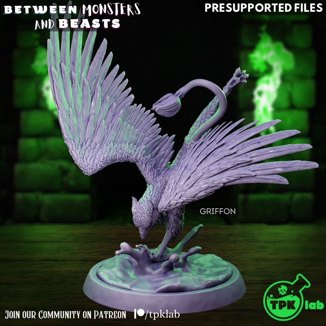 Griffon