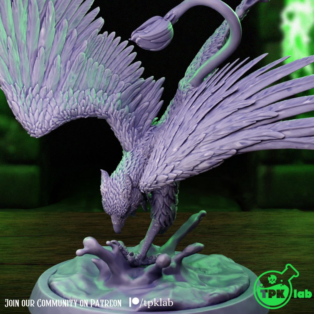 Griffon