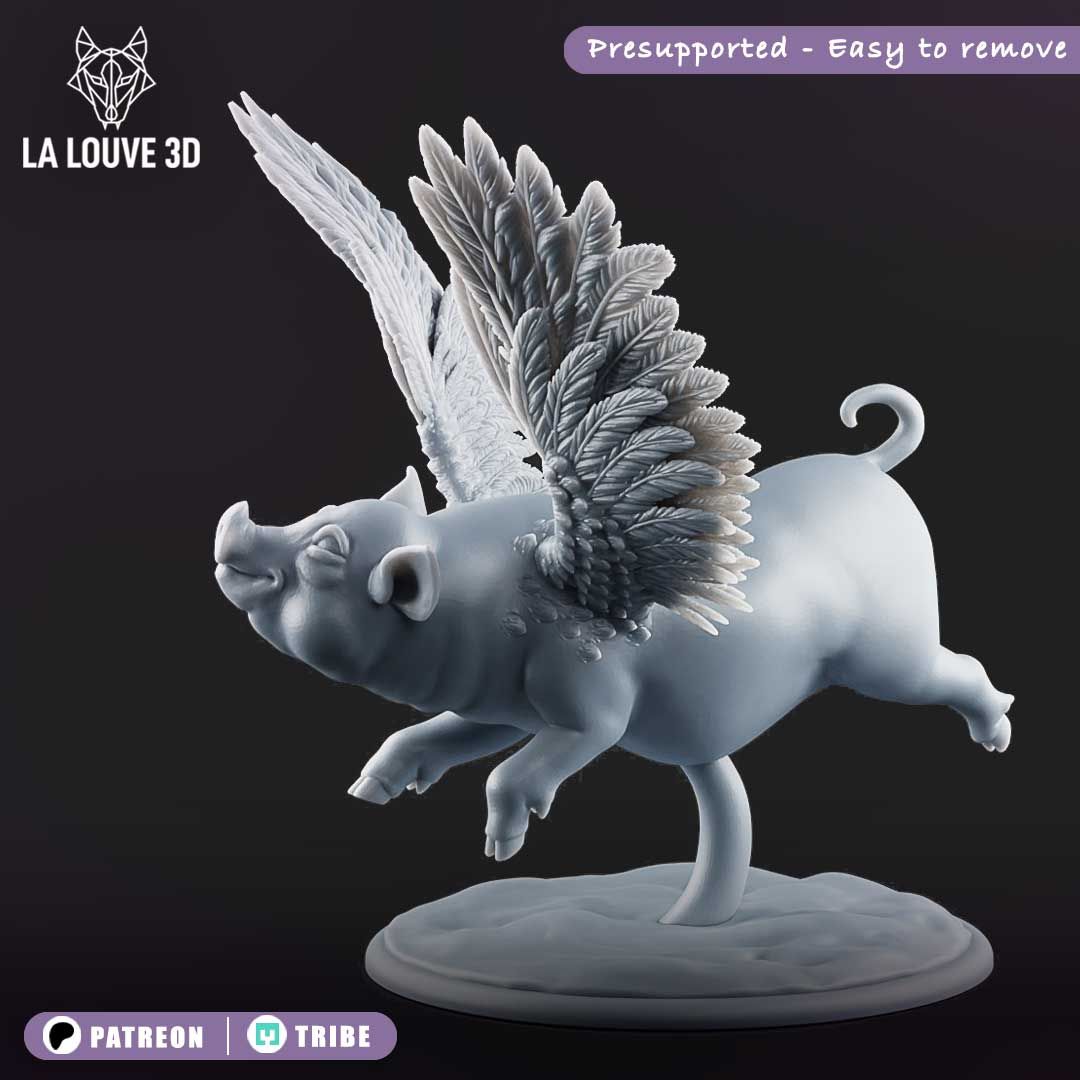 Flying pig