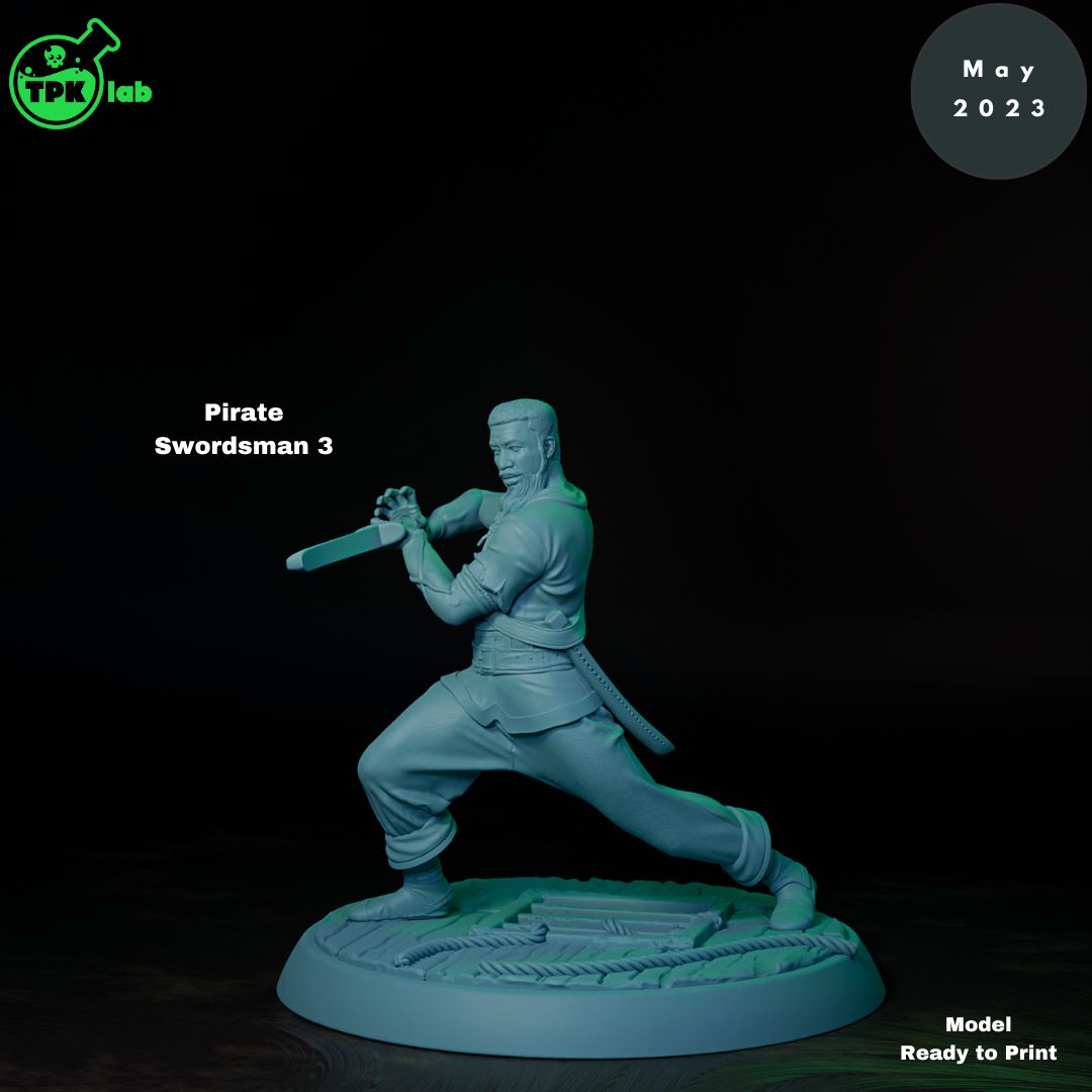 Pirate Swordsman 3
