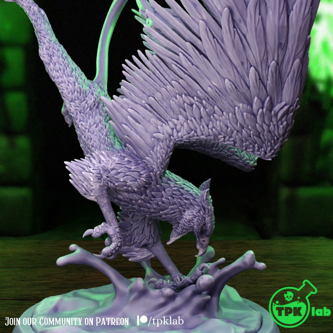 Griffon