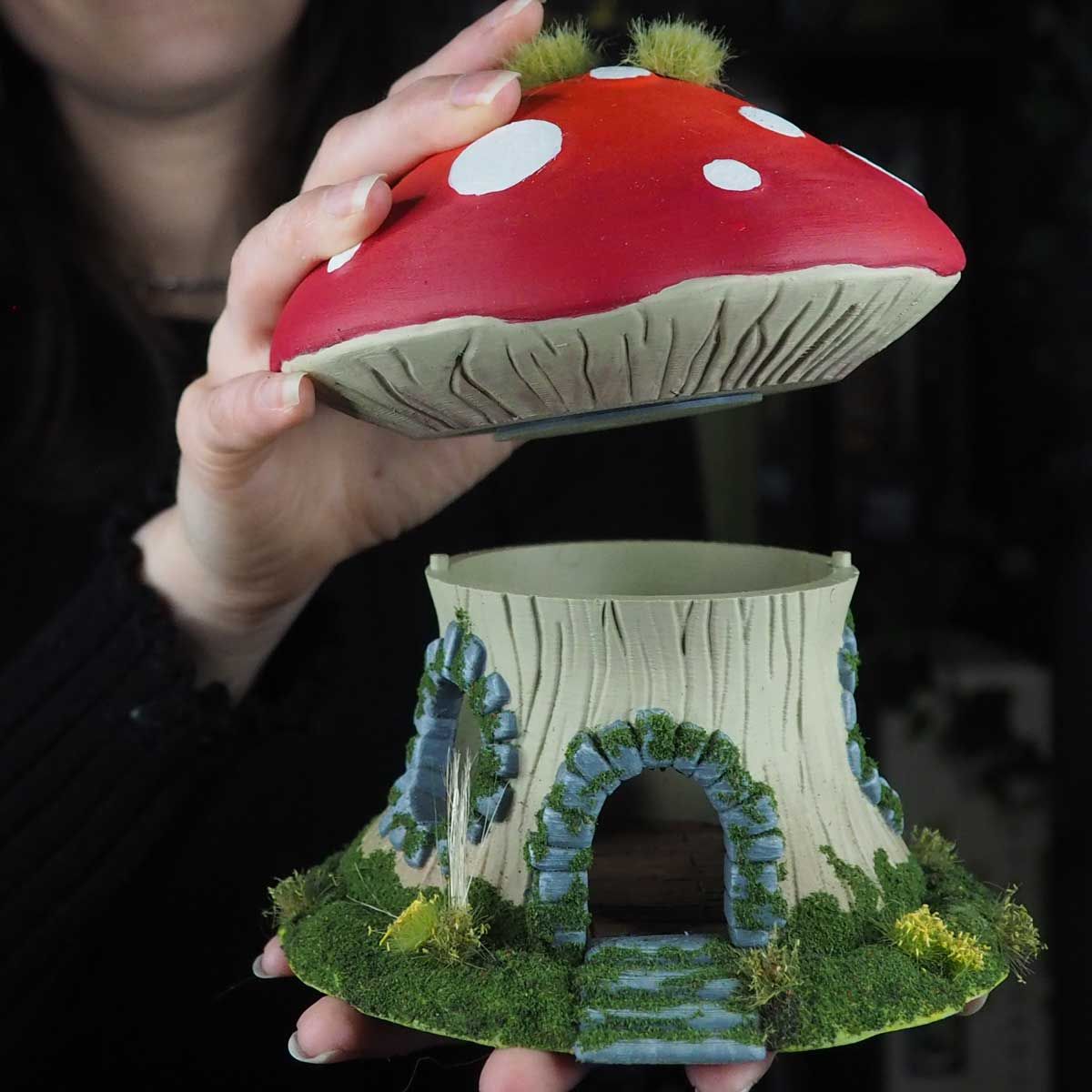 Mushroom house 1