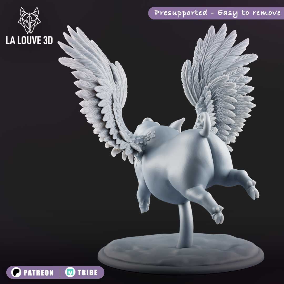Flying pig