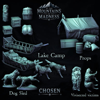 At the Mountains of Madness part 1 - Miniatures and Terrain Collection