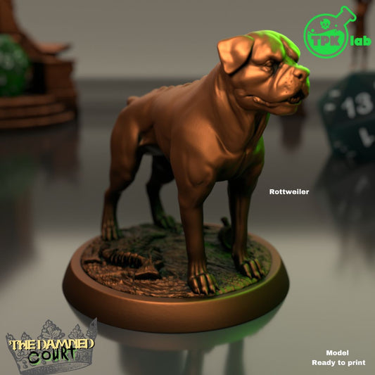 Rottweiler