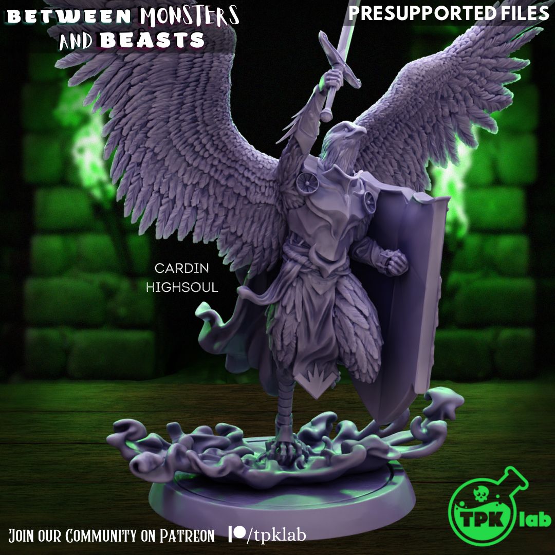 Cardin Highsoul