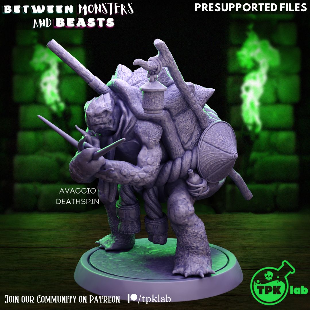 Avaggio Deathspin, turtlefolk monk