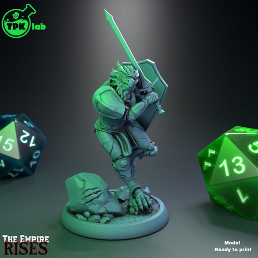 Valkeen, Dragonborn Paladin