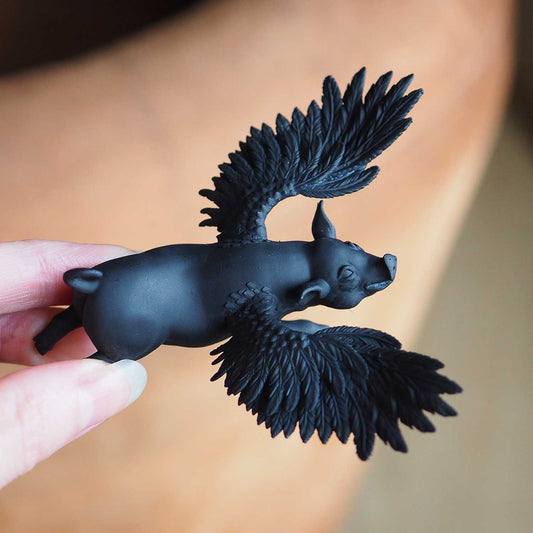 Flying pig