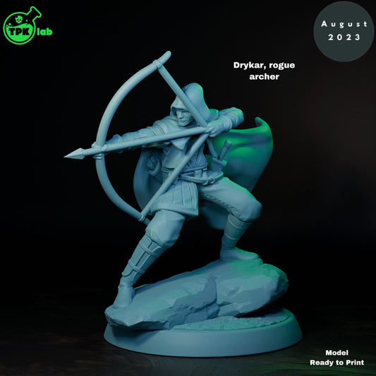 Drycar Rogue Archer