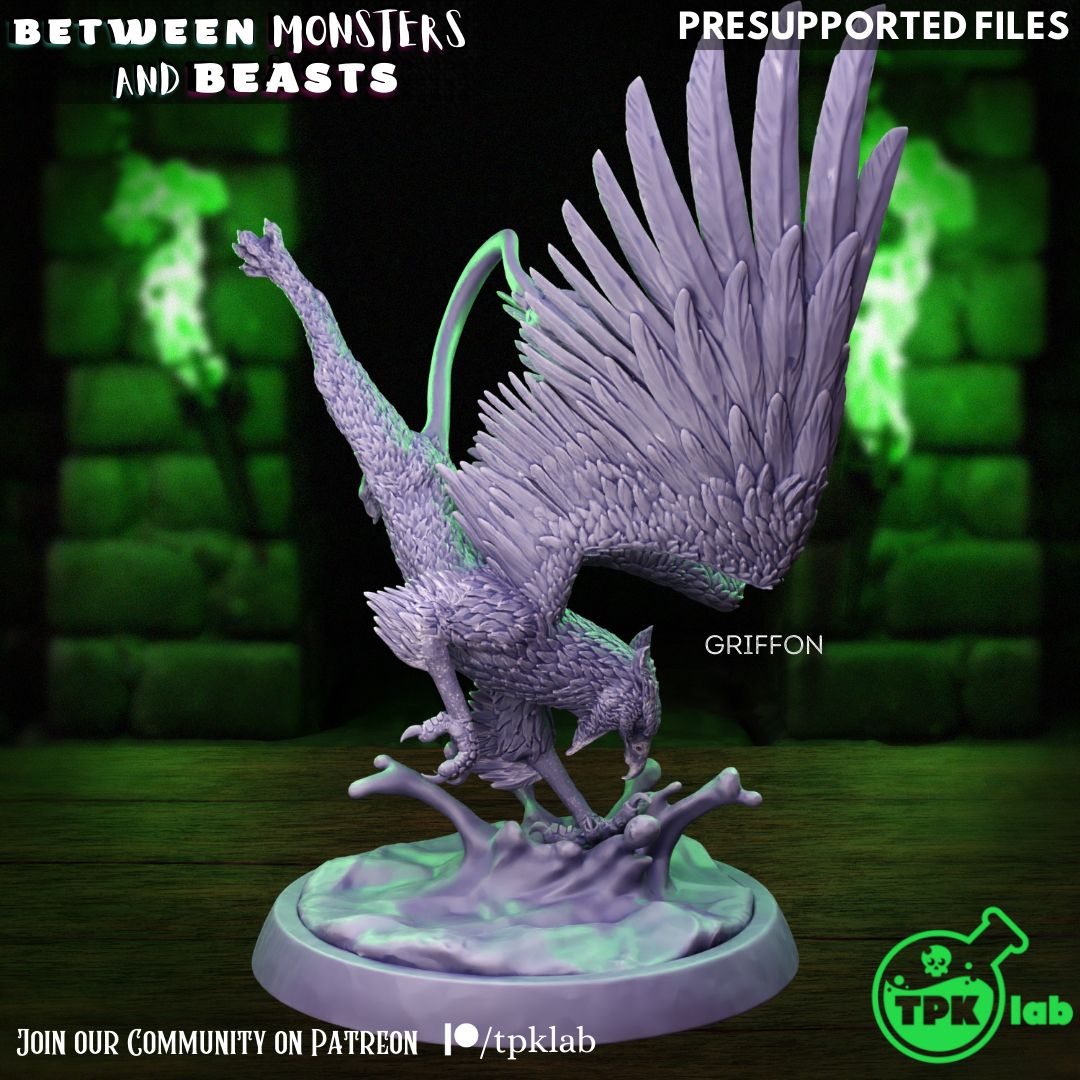 Griffon