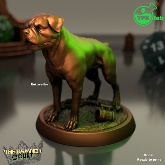 Rottweiler