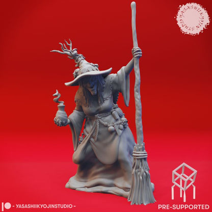Barovian Witch